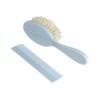 BROSSE PEIGNE CIEL DBB REMOND 315001