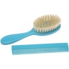 BROSSE PEIGNE BLT DBB REMOND