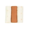 LOT 3 LANGES 70X70 DIPLODODO NOVATEX 8455006