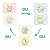 DUO SUCETTE PERFECT NUIT 2-6M MAM 6354698
