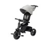 BBC TRICYCLE WINDY TINTED GRAY DOREL 1144077210