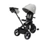 BBC TRICYCLE WINDY TINTED GRAY DOREL 1144077210