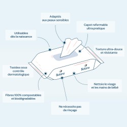 LINGETTE PURE WATER X48 BIOLANE BLEP48