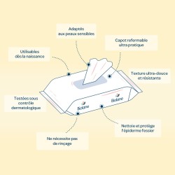 LINGETTES AU LINIMENT X64 BIOLANE BLL64